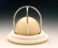 Star-Edwards heart valve