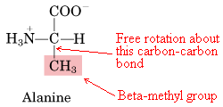 The structure of Alanine