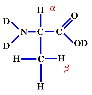 Structure of Alanine, showing α and β protons