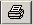 Print button